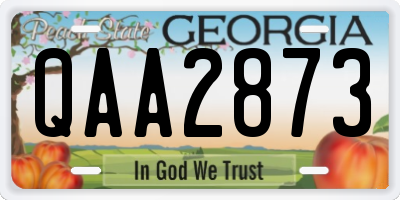 GA license plate QAA2873