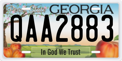 GA license plate QAA2883