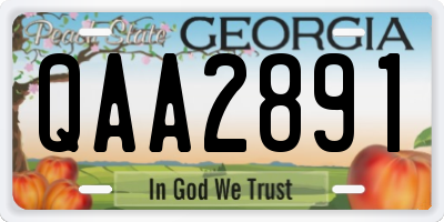 GA license plate QAA2891