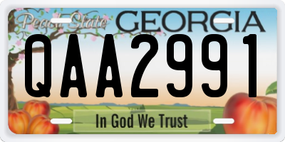 GA license plate QAA2991