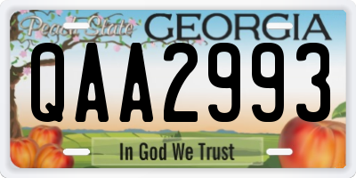 GA license plate QAA2993