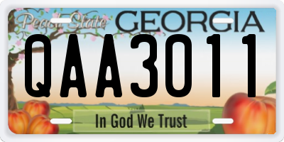 GA license plate QAA3011
