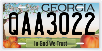 GA license plate QAA3022