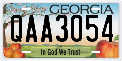 GA license plate QAA3054
