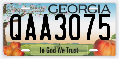GA license plate QAA3075