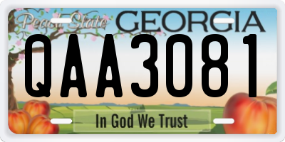 GA license plate QAA3081