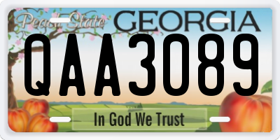 GA license plate QAA3089