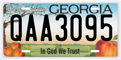 GA license plate QAA3095