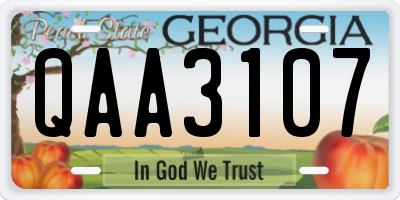 GA license plate QAA3107