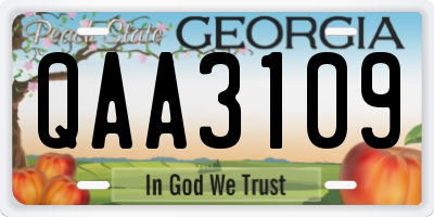 GA license plate QAA3109