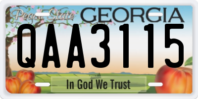 GA license plate QAA3115