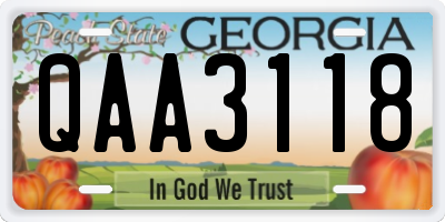 GA license plate QAA3118