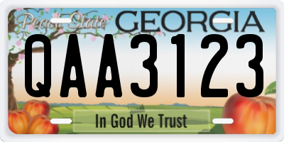 GA license plate QAA3123