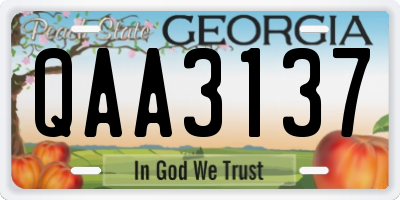 GA license plate QAA3137