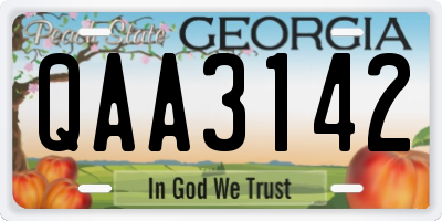 GA license plate QAA3142