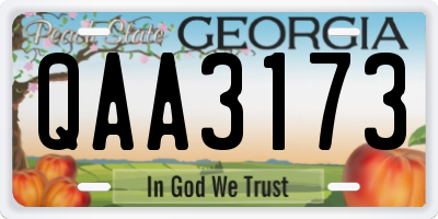 GA license plate QAA3173