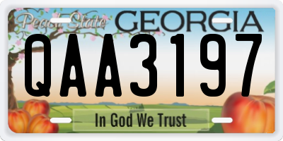 GA license plate QAA3197