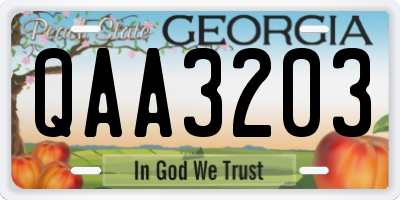 GA license plate QAA3203