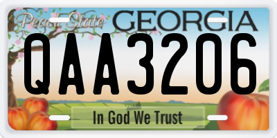 GA license plate QAA3206