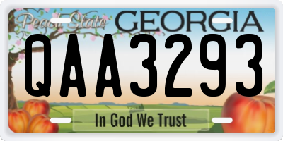 GA license plate QAA3293