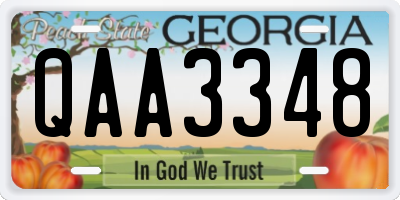 GA license plate QAA3348