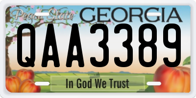 GA license plate QAA3389