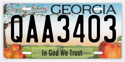 GA license plate QAA3403