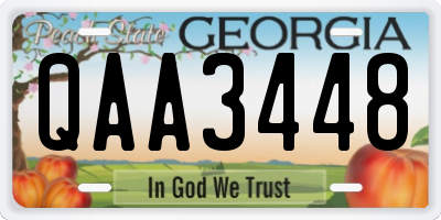 GA license plate QAA3448