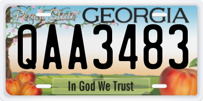 GA license plate QAA3483