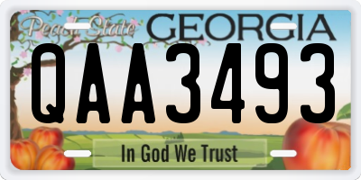GA license plate QAA3493