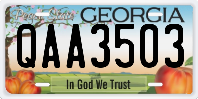 GA license plate QAA3503