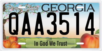 GA license plate QAA3514
