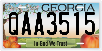 GA license plate QAA3515