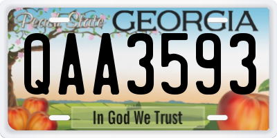 GA license plate QAA3593