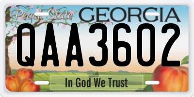 GA license plate QAA3602