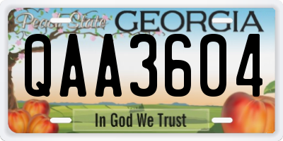 GA license plate QAA3604