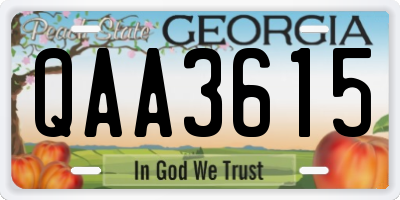 GA license plate QAA3615