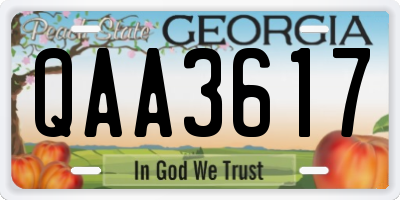 GA license plate QAA3617