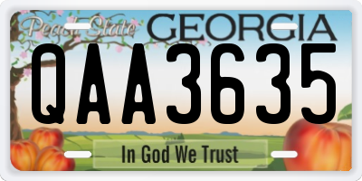 GA license plate QAA3635