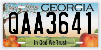 GA license plate QAA3641