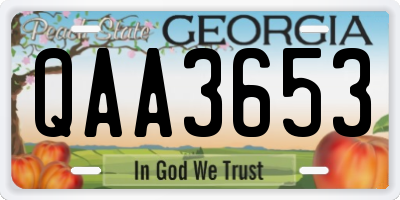 GA license plate QAA3653