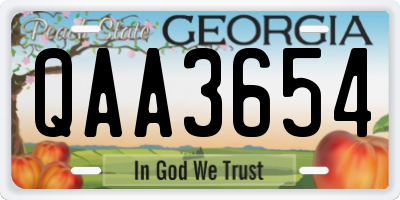 GA license plate QAA3654