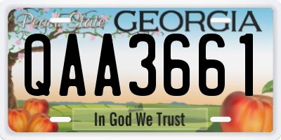 GA license plate QAA3661
