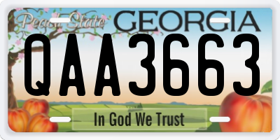 GA license plate QAA3663