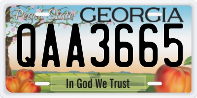 GA license plate QAA3665