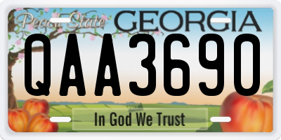 GA license plate QAA3690