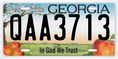 GA license plate QAA3713