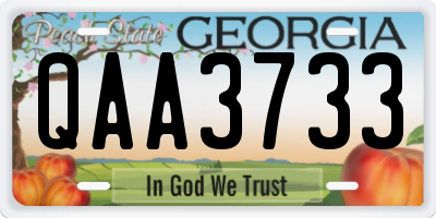 GA license plate QAA3733