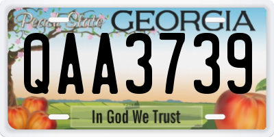 GA license plate QAA3739