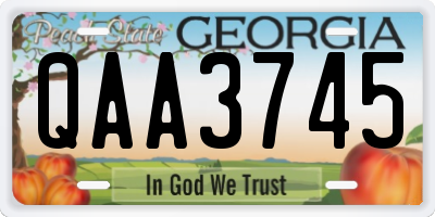 GA license plate QAA3745